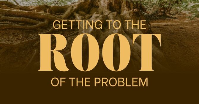 Getting to the Root of the Problem