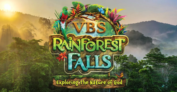 Kids, Come to a Rainforest Adventure This Summer