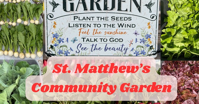 Community Garden Update