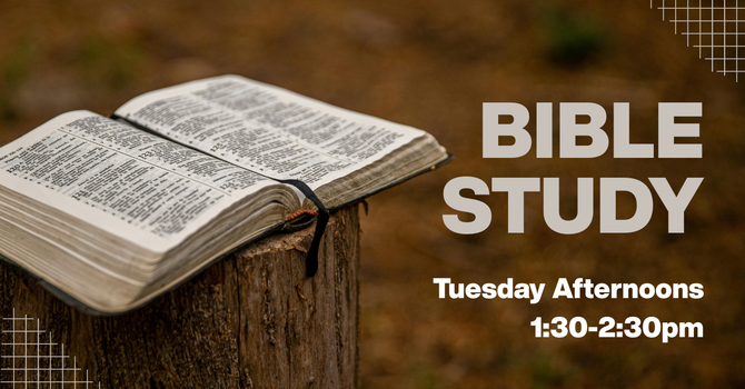 Afternoon Bible Study