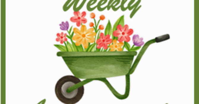 Weekly Announcements