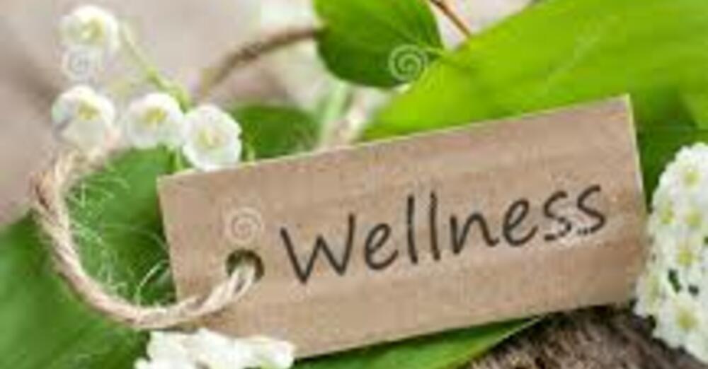 Wellness & Grounding Sessions: Self Care