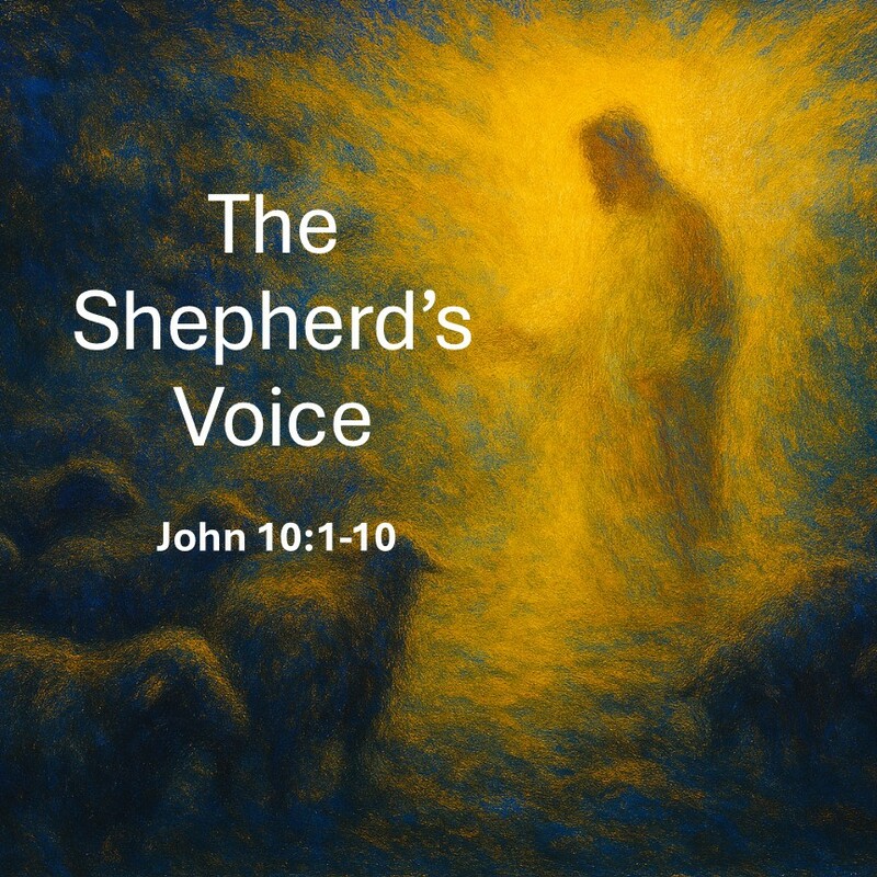 The Shepherd’s Voice