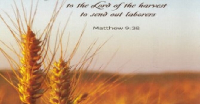 Worship Service - Third Sunday After Pentecost