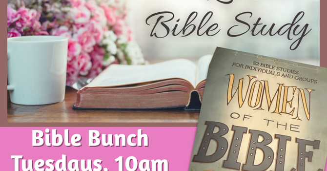 Ladies' Bible Bunch