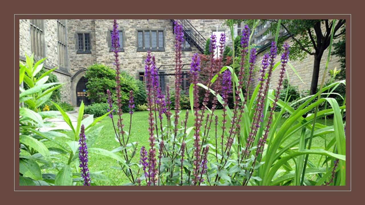Slideshow image