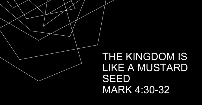 The Kingdom is like a Mustard Seed