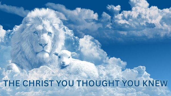THE CHRIST YOU THOUGHT YOU KNEW (Beach)