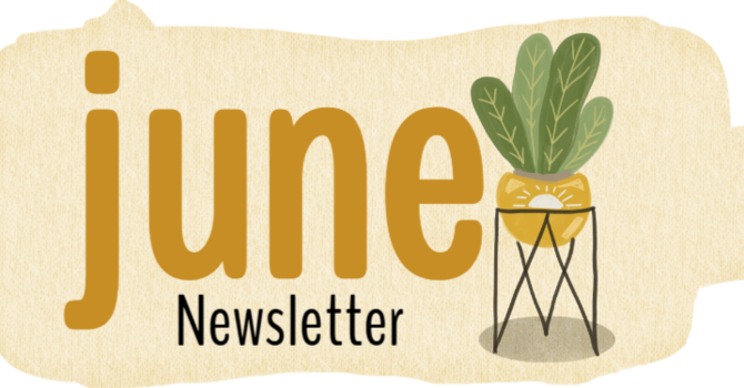 Newsletter