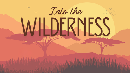 Into the Wildnerness