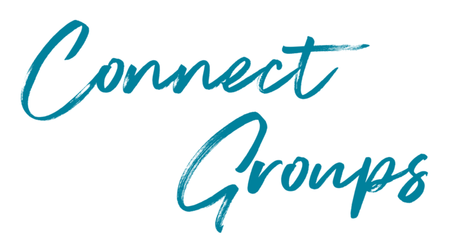 Connect Groups