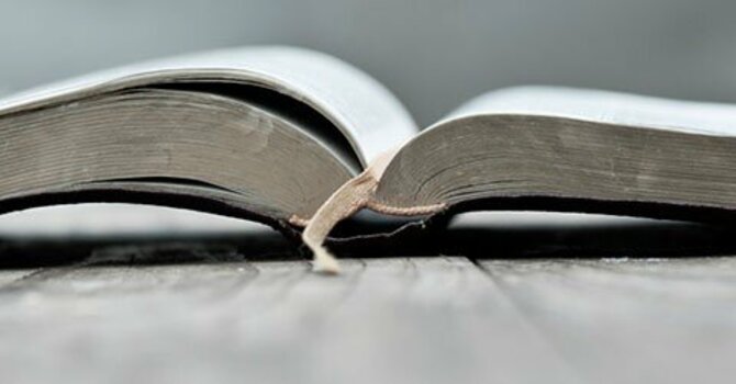 Summer Adult Bible Study