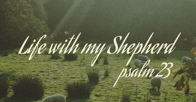 The Shepherd Leads