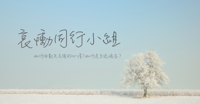 哀動同行小組