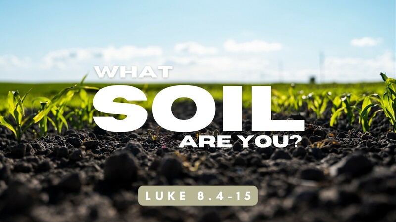 What Soil Are You - Part 1
