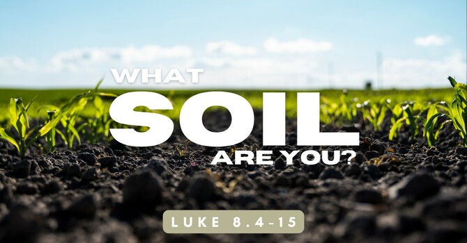 What Soil Are You - Part 1
