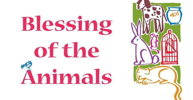 Pet Blessing Service