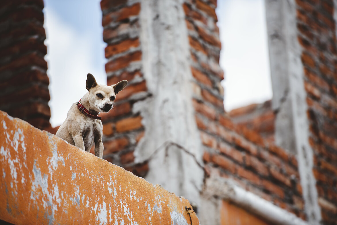 Slideshow image