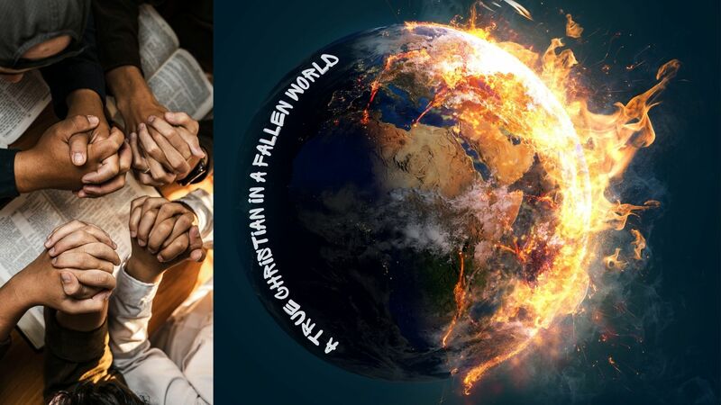 True Christian in a Fallen World