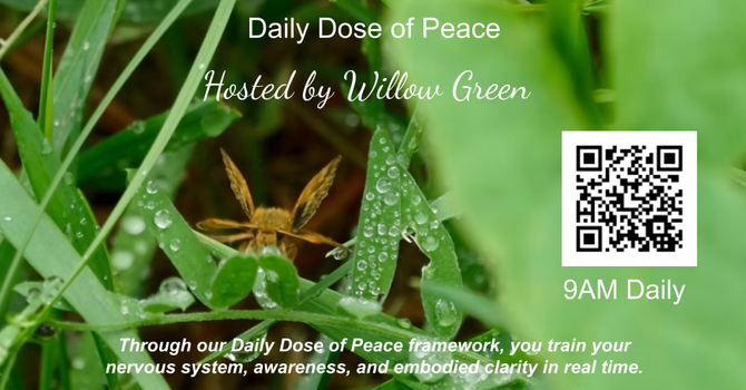 Daily Dose of Peace