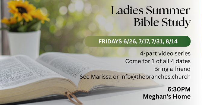 Ladies Summer Bible Study