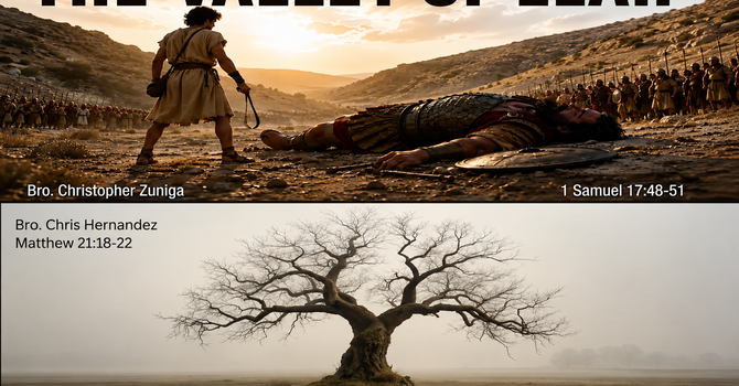 "The Fig Tree That Withered Away" | "The Valley Of Elah"