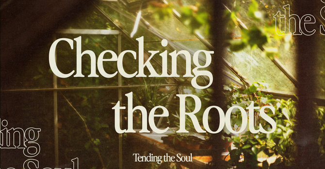 Checking the Roots