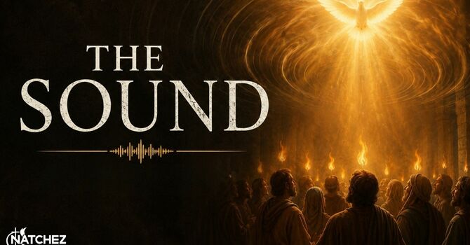 The sound