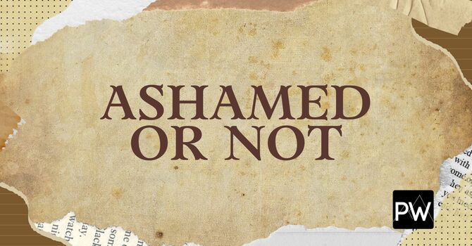 Ashamed or Not image