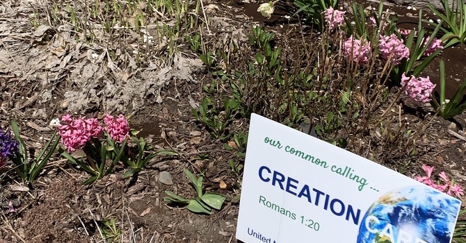 Update from the Creation Care Team