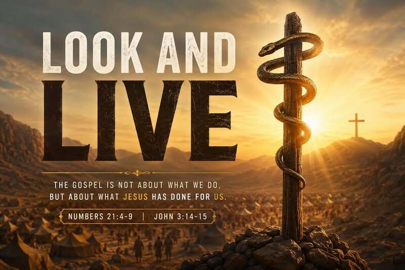 Look and Live