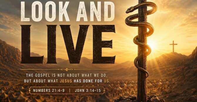 Look and Live