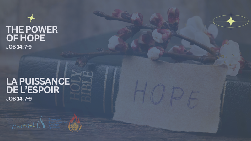 The Power of Hope - Job 14: 7-9