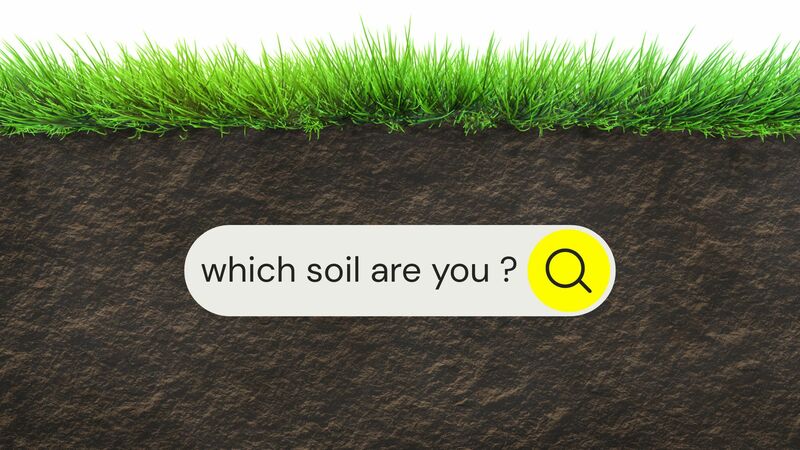 Which Soil Are You