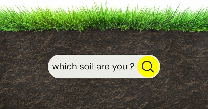 Which Soil Are You