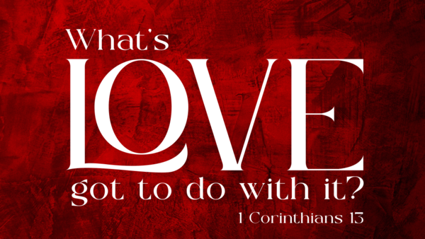 What's Love Got To Do With It?