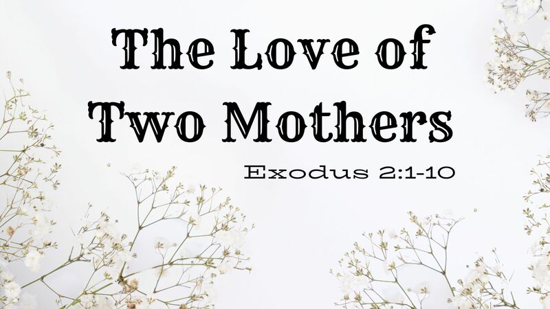 The Love Of Two Mothers