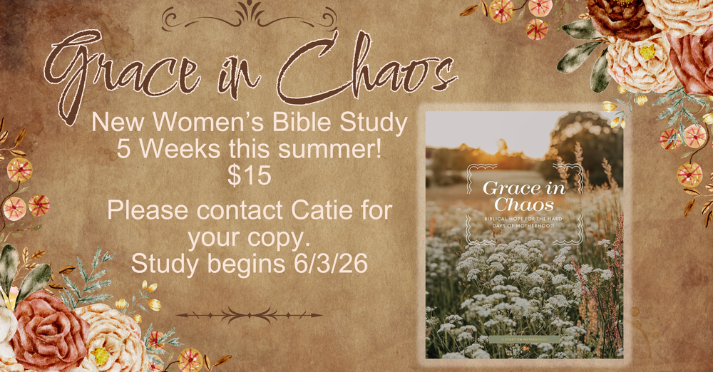 New Women's Bible Study