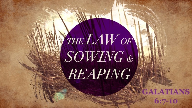 The Law of Sowing and Reaping