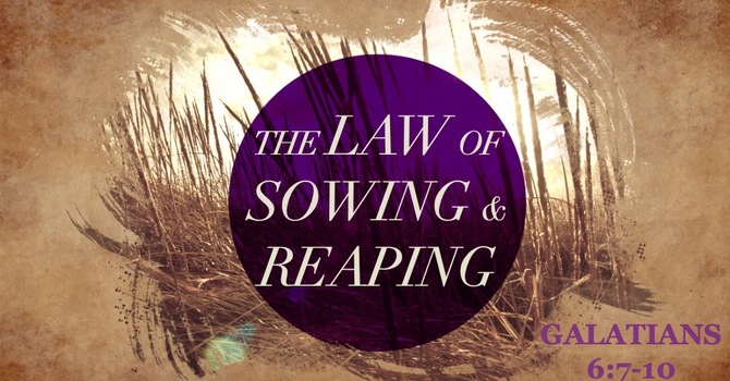The Law of Sowing and Reaping
