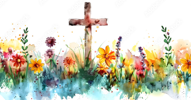 June 2026 Newsletter