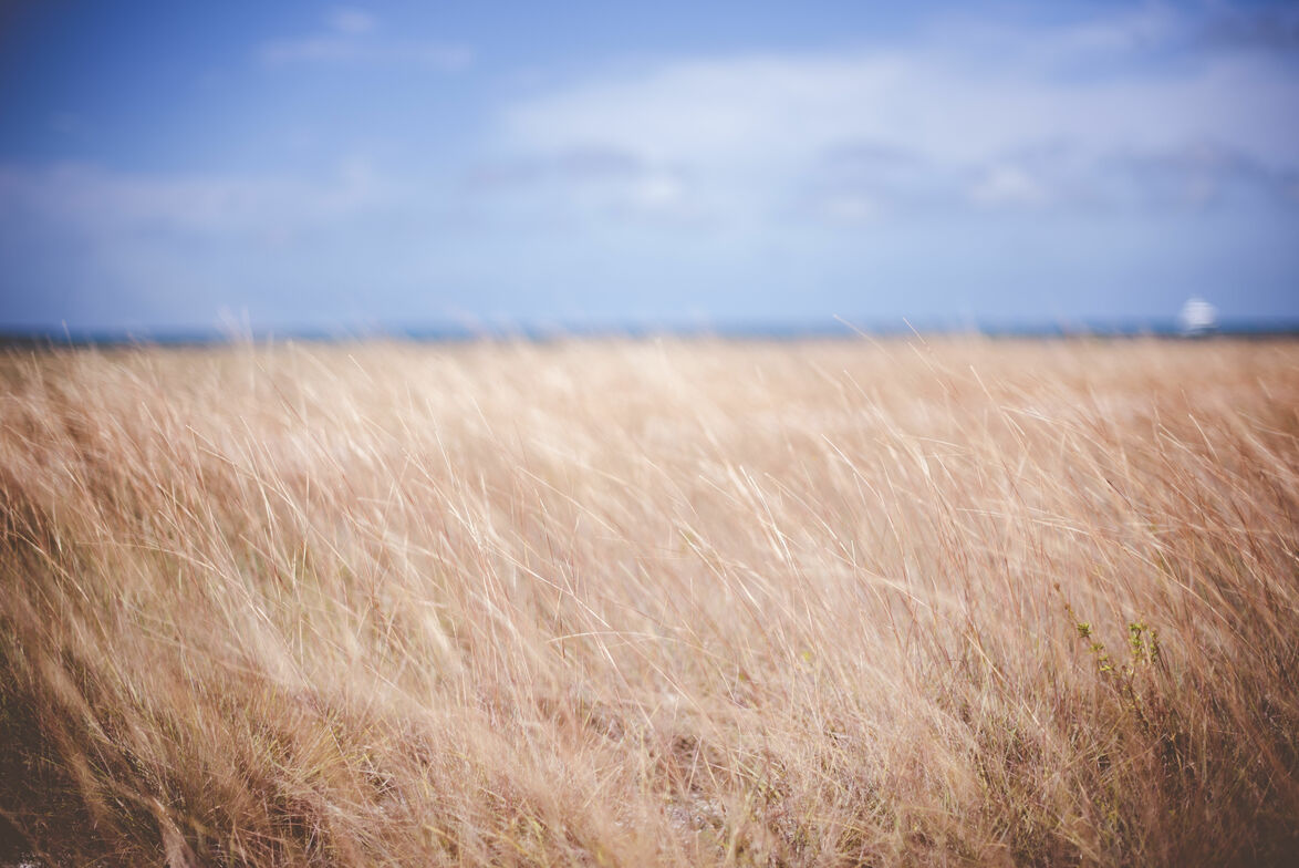 Slideshow image