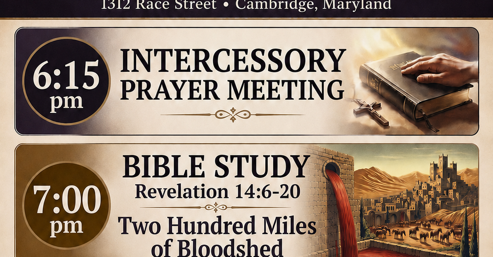 Bible Study