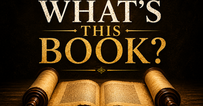 What’s This Book? image