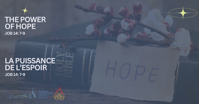 The Power of Hope - Job 14: 7-9