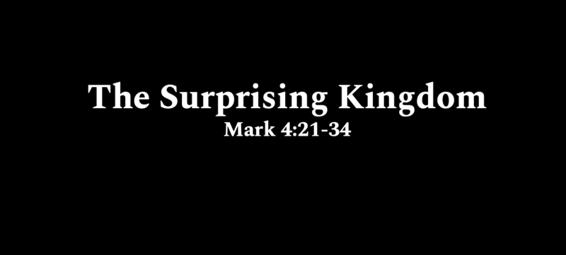 The Surprising Kingdom