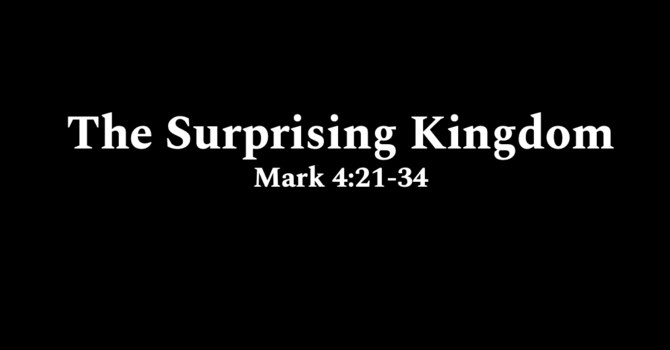 The Surprising Kingdom