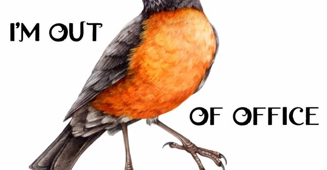 Robin out of town