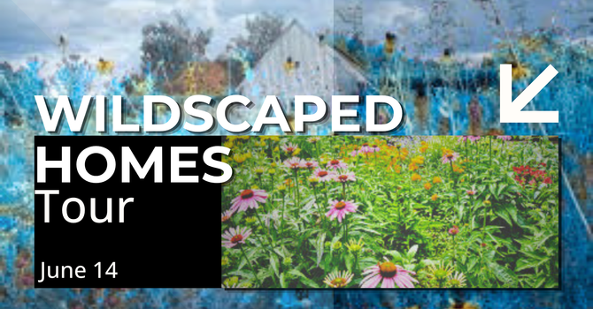 Wildscaped Homes Tour