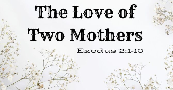 The Love Of Two Mothers